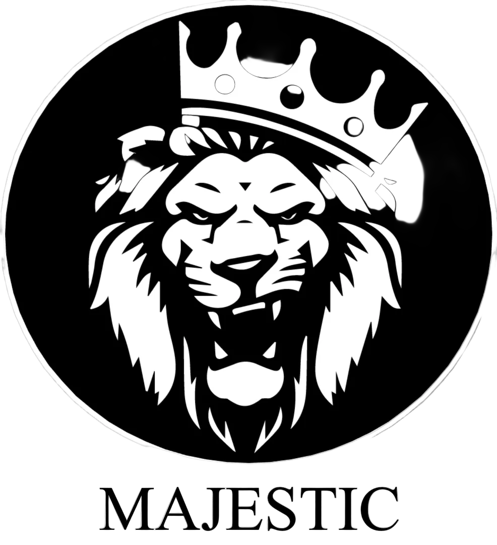 Bundle 2 Majestic Electric Spinner with Autowinder